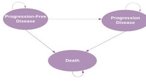 Model-10-image.jpg Cost-Effectiveness of Venetoclax Plus Obinutuzumab Versus Chlorambucil Plus Obinutuzumab for the First-Line Treatment of Adult Patients With Chronic Lymphocytic Leukemia: An Extended Societal View