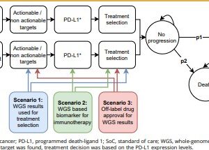 Model-8-2.jpg Cost-Effectiveness and Budget Impact Model of Future Developments With Whole-Genome Sequencing for Lung Cancer Patients