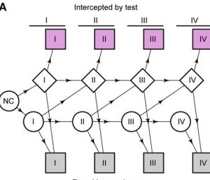 Model-14-image-1.jpg Modeled Reductions in Late-stage Cancer with a Multi-Cancer Early Detection Test