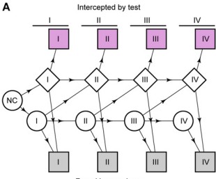 Modeled Reductions in Late-stage Cancer with a Multi-Cancer Early Detection Test