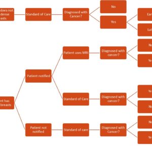 NSCLC simulation model