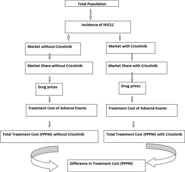 NSCLC in China with Crizotinib